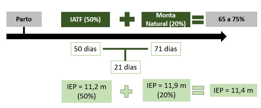 estação de monta