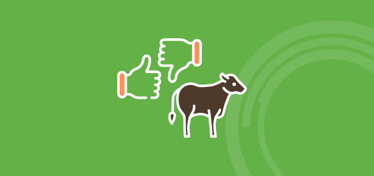 Gerenciamento rural na pecuária: veja como a tecnologia ajuda a diferenciar um bom e um mau produtor